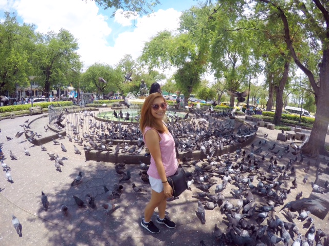 DCIM100GOPROGOPR0411.