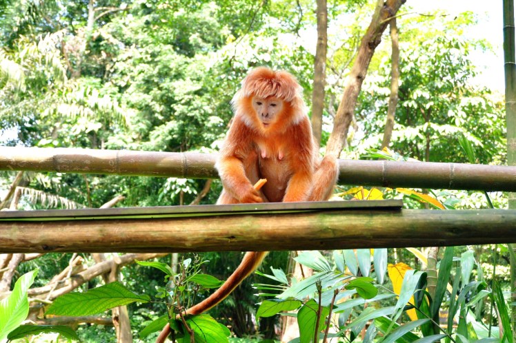 C360_2018-02-03-11-21-17-589