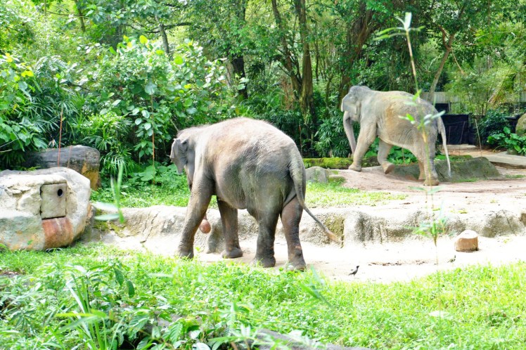 C360_2018-02-03-11-32-30-031