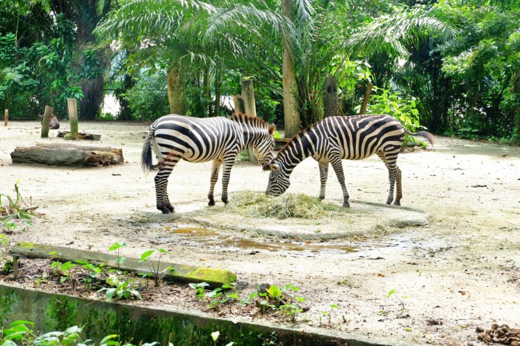 C360_2018-02-03-11-34-44-577