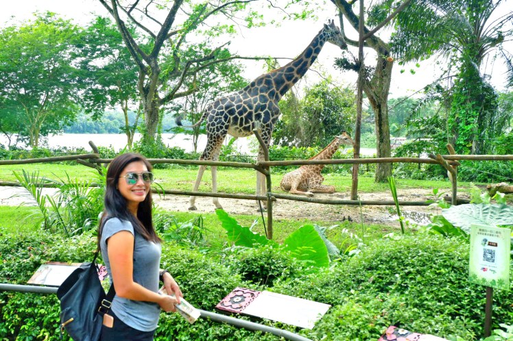 C360_2018-02-03-11-38-02-567