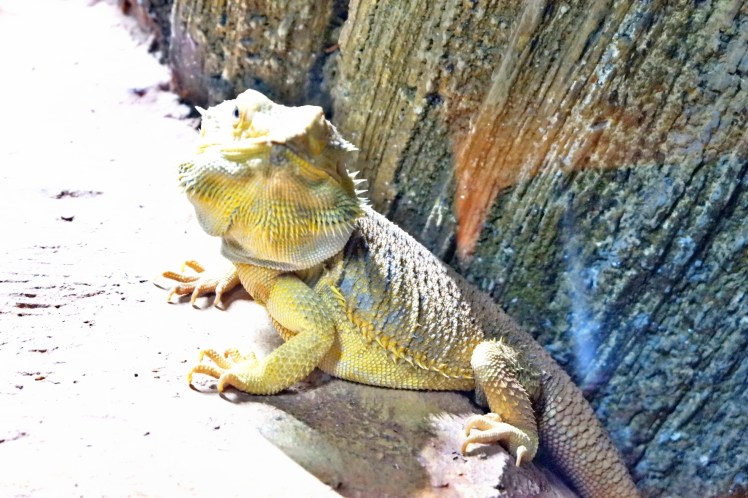 C360_2018-02-03-11-48-23-840