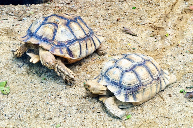 C360_2018-02-03-11-53-27-782