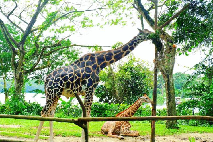 IMG_20180203_154258_741