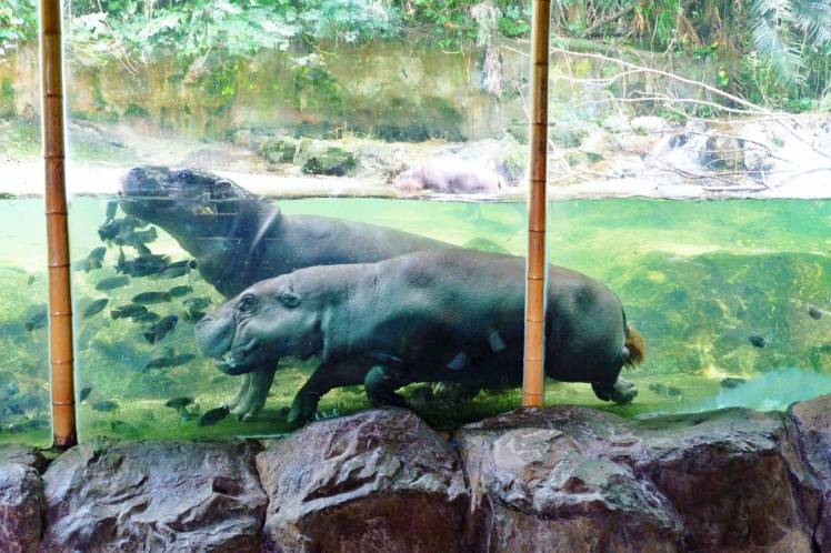 IMG_20180203_154258_746