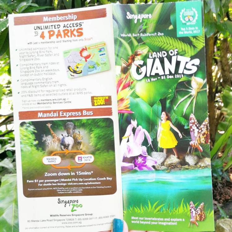 IMG_20180203_155228_837