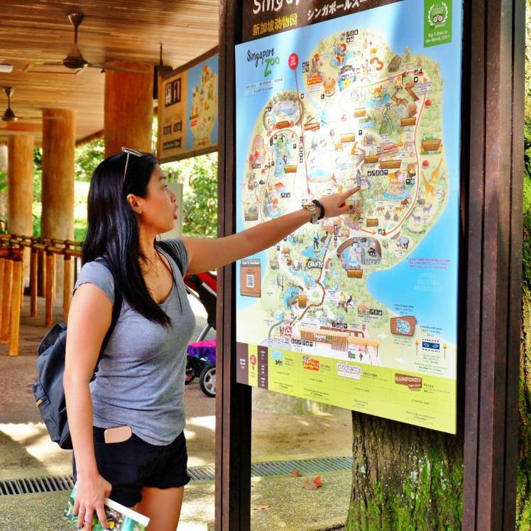 IMG_20180203_155228_839